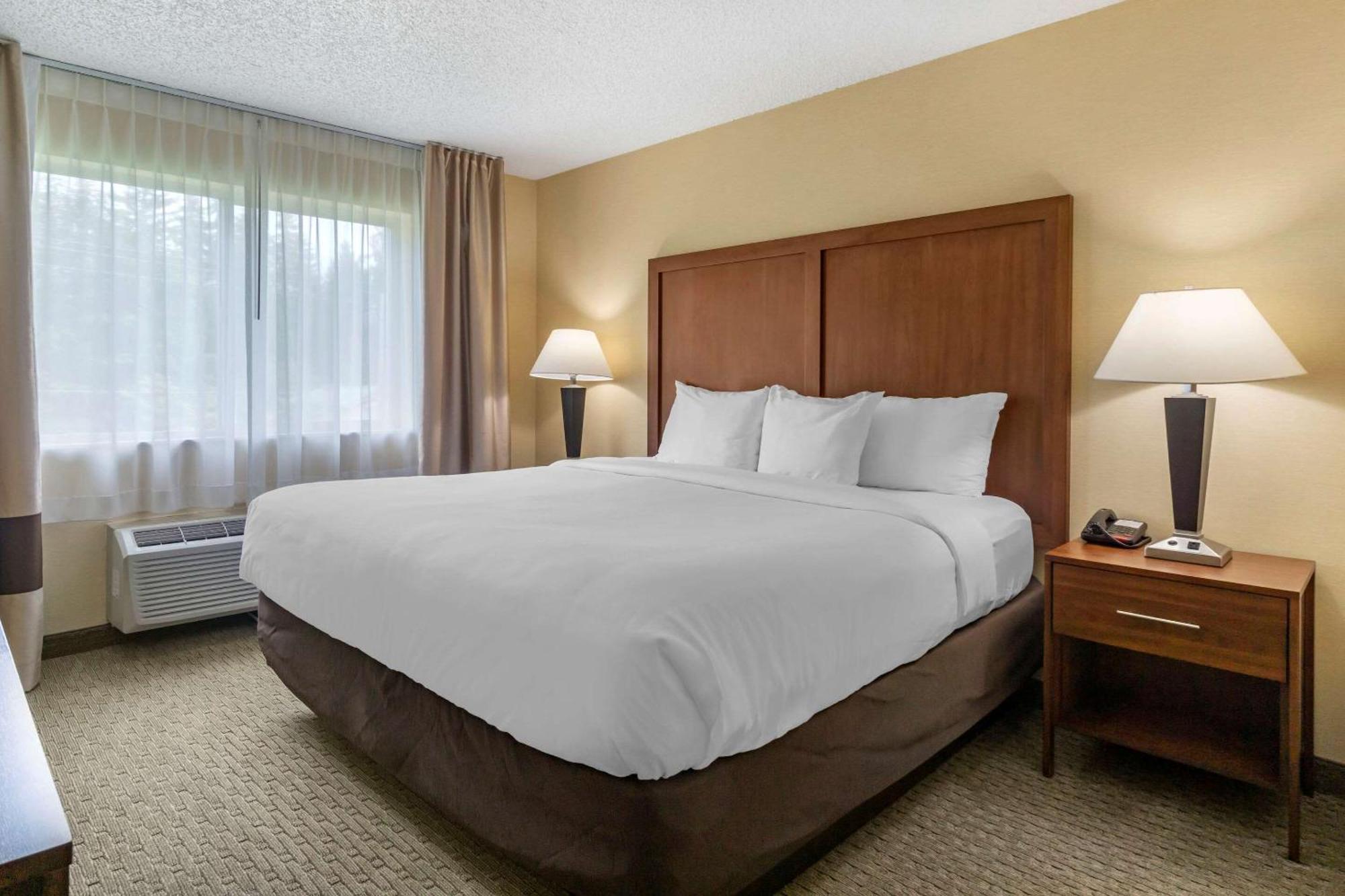 Comfort Inn & Suites Bothell - Seattle North Zimmer foto